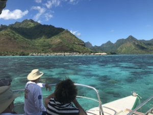 french polynesia snorkel tour with clear blue waters