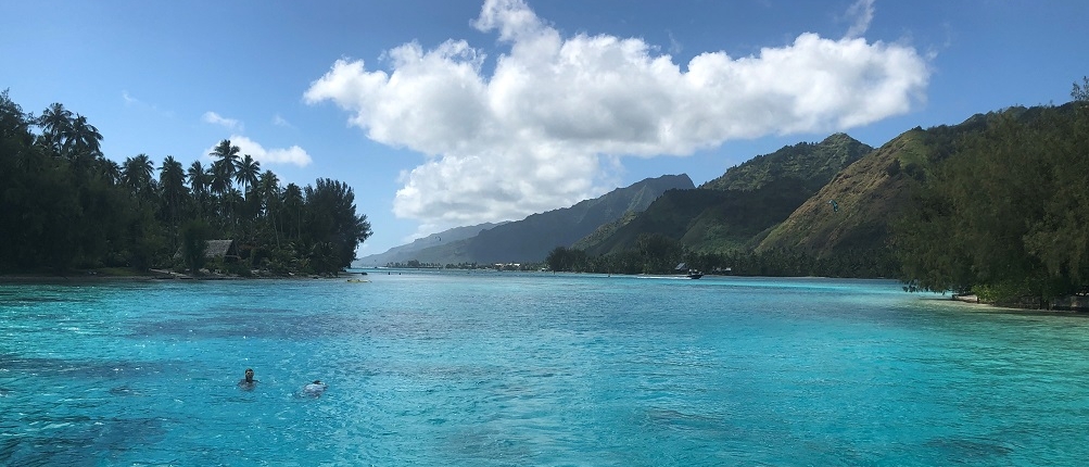 clear blue waters around the island of moorea with a lone swimmer